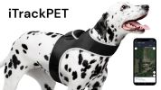 GSM GPS Animal Tracking Devices Realtime Pocket Portable Mini Locator Size:L