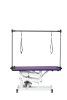 42.5INCH HYDRAULIC PET GROOMING TABLE WITH "H" ARM PURPLE